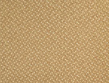 картинка Balsan Ковер Balsan (Балсан) Balsan Capitol 310 PAILLE, 4 м 100% ПОЛИАМИД (Балсан ) магазин Симфония Пола - официальный дилер Balsan в России