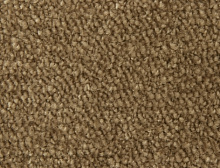 картинка Edel Ковер Edel (Эдель) Edel Group Picollo - 133 Copper, ширина 4 м 100% ПОЛИАМИД Solution dyed (Эдель ) магазин Симфония Пола - официальный дилер Edel в России
