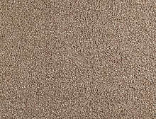 картинка Balsan Ковер Balsan (Балсан) Balsan Les Must 740 NOISETTE, 4 м 100% ПОЛИАМИД (Балсан ) магазин Симфония Пола - официальный дилер Balsan в России