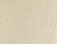 картинка Balsan Ковер Balsan (Балсан) Balsan Territoires  Atoll 011 IVOIRE , 4 м 100% ПОЛИАМИД (Балсан ) магазин Симфония Пола - официальный дилер Balsan в России 
