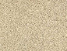 картинка Balsan Ковер Balsan (Балсан) Balsan Equinoxe 610 COQUILLE, 4 м 100% ПОЛИАМИД (Балсан ) магазин Симфония Пола - официальный дилер Balsan в России