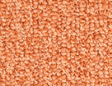картинка Balsan Коммерческий ковролин Centaure Deco 448 (Бальсан Центаури Деко 448) магазин Симфония Пола - официальный дилер Balsan в России
