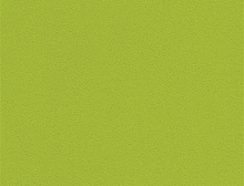 картинка Interface Ковровая плитка Interface (Интерфейс) Interface Palette 2000 - 542135 Zest 0,5 x 0,5 м, (Интерфейс ) магазин Симфония Пола - официальный дилер Interface в России