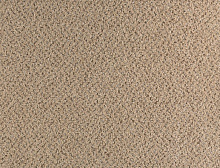 картинка Balsan Ковер Balsan (Балсан) Balsan Tango - 630 CUIR, 4 м 100% ПОЛИАМИД (Балсан ) магазин Симфония Пола - официальный дилер Balsan в России
