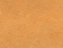 картинка Gerflor Marmorette Pur 2,5 мм, 0173 Melon Orange (Жерфлор ) магазин Симфония Пола - официальный дилер Gerflor в России 