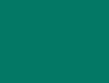 картинка TARKETT ПВХ рулонный Tarkett (Таркетт) Omnisports Actions 65 Forest Green - 2,0 м (Таркетт ) магазин Симфония Пола - официальный дилер TARKETT в России