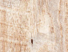 картинка Alpine Floor Real Wood Дуб Carry ЕСО 2-10 (Альпин Флор Реал Вуд Дуб Кари ЭКО 2-10) магазин Симфония Пола - официальный дилер Alpine Floor в России
