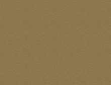 картинка Interface Ковровая плитка Interface (Интерфейс) Polichrome Solid 4266021 Marzipan 0,5x 0.5 м (Интерфейс ) магазин Симфония Пола - официальный дилер Interface в России