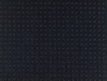 картинка Balsan Ковер Balsan (Балсан) Balsan Territoires Atrium 996 JAIS, 4 м 100% ПОЛИАМИД (Балсан ) магазин Симфония Пола - официальный дилер Balsan в России