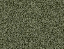 картинка Interface Ковровая плитка Interface (Интерфейс) Sherbet Fizz 5568 Pistachio 0,5х0,5 м (Интерфейс ) магазин Симфония Пола - официальный дилер Interface в России 