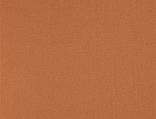 картинка Balsan Ковер Balsan (Балсан) Balsan Les Greens 2 Confort 568 POTIRON, 4 м 100% ПОЛИАМИД (Балсан ) магазин Симфония Пола - официальный дилер Balsan в России