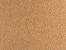 картинка Balsan Ковер Balsan (Балсан) Balsan Tango - 450 AMBRE,  4 м 100% ПОЛИАМИД (Балсан ) магазин Симфония Пола - официальный дилер Balsan в России 
