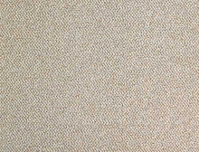 картинка Balsan Ковер Balsan (Балсан) Balsan Carrousel 710 ANIS, 4 м 100% ПОЛИАМИД (Балсан ) магазин Симфония Пола - официальный дилер Balsan в России