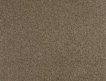 картинка Balsan Ковер Balsan (Балсан) Balsan Serenite 750 SEPIA, 4 м (Балсан ) магазин Симфония Пола - официальный дилер Balsan в России