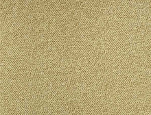 картинка Balsan Ковер Balsan (Балсан) Balsan Carrousel 619 SABLE, 4 м 100% ПОЛИАМИД (Балсан ) магазин Симфония Пола - официальный дилер Balsan в России 